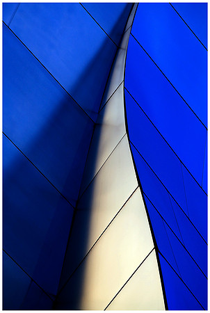 disney concert hall, steel blue shadow leaf