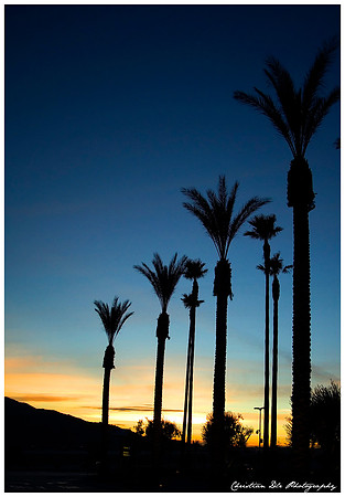 Palm Springs