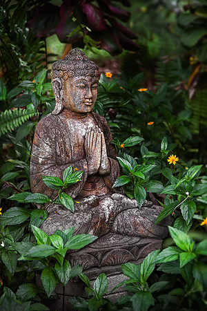 Buddha of Honua Lani Gardens by Christian Del Rosario