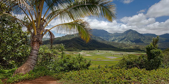 Hanalei Lookout & Taro Fields by Christian Del Rosario