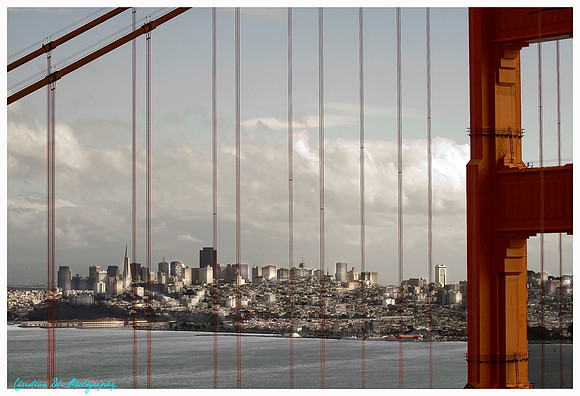 san francisco skyline