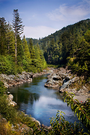redwood natinal park