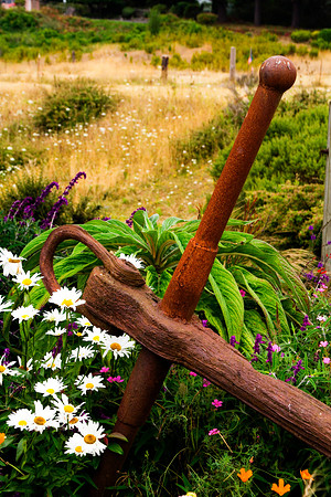 trinidad gardens